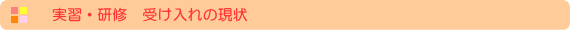 実習・研修　受け入れの現状